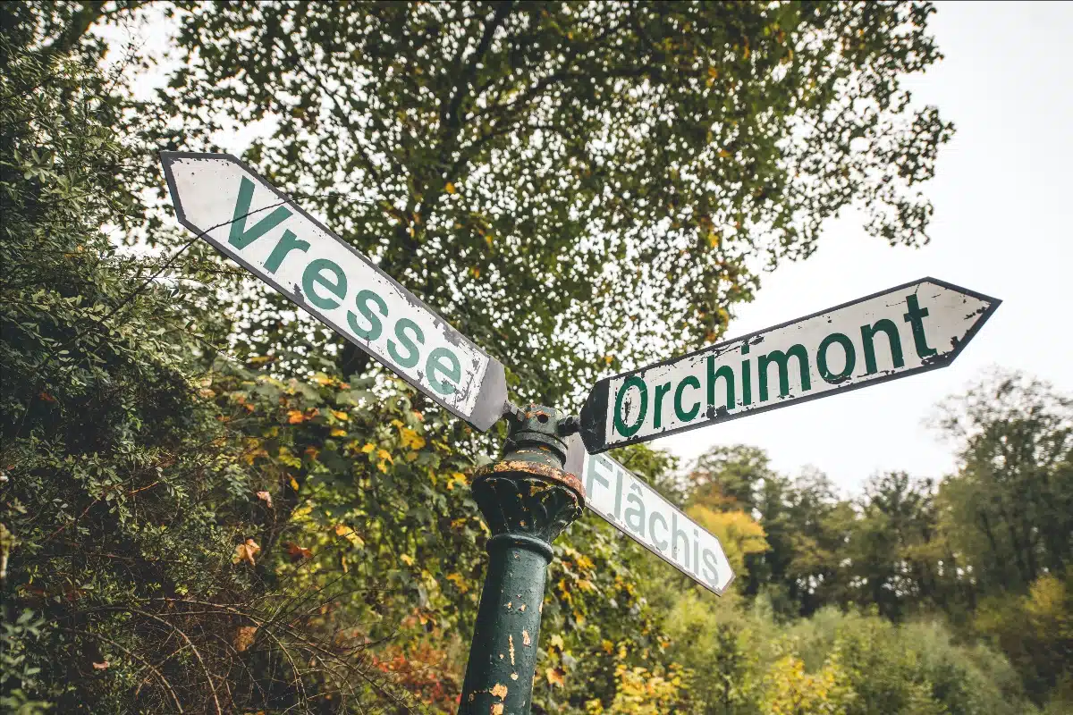 Lire la suite à propos de l’article Le parcours du South Belgian Rally 2020 connu…