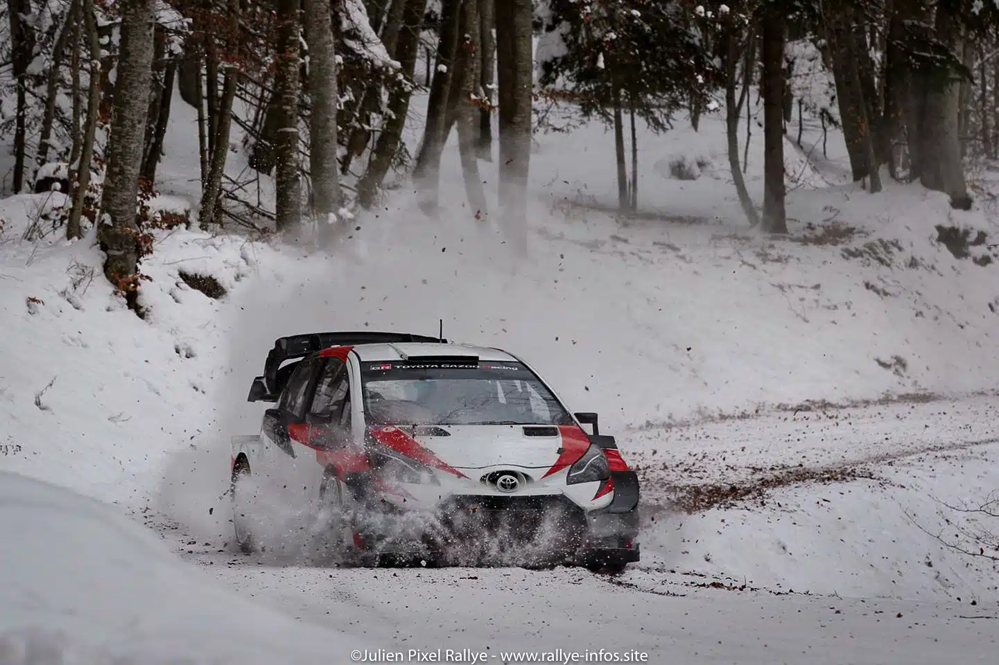 You are currently viewing Les engagés du Monté Carlo !