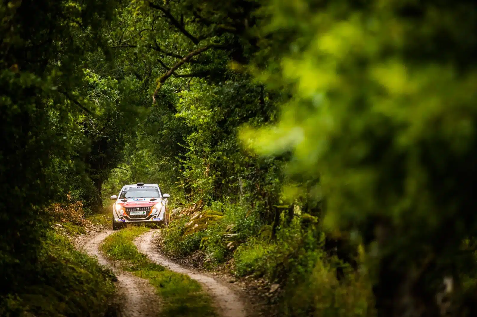 You are currently viewing Franceschi intraitable au Castine