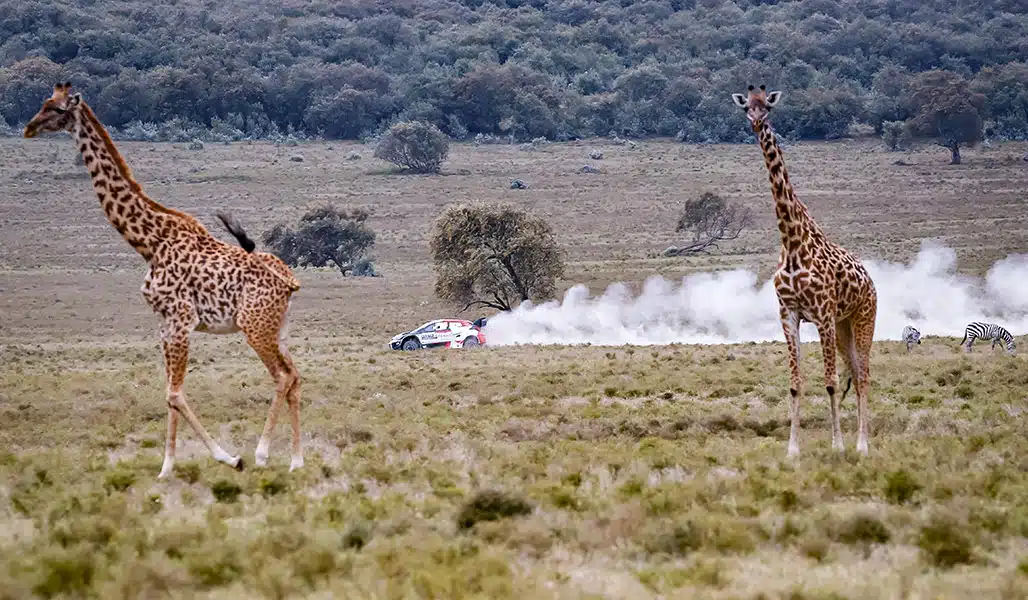 Lire la suite à propos de l’article Katsuta décroche un autre podium du Safari Rally