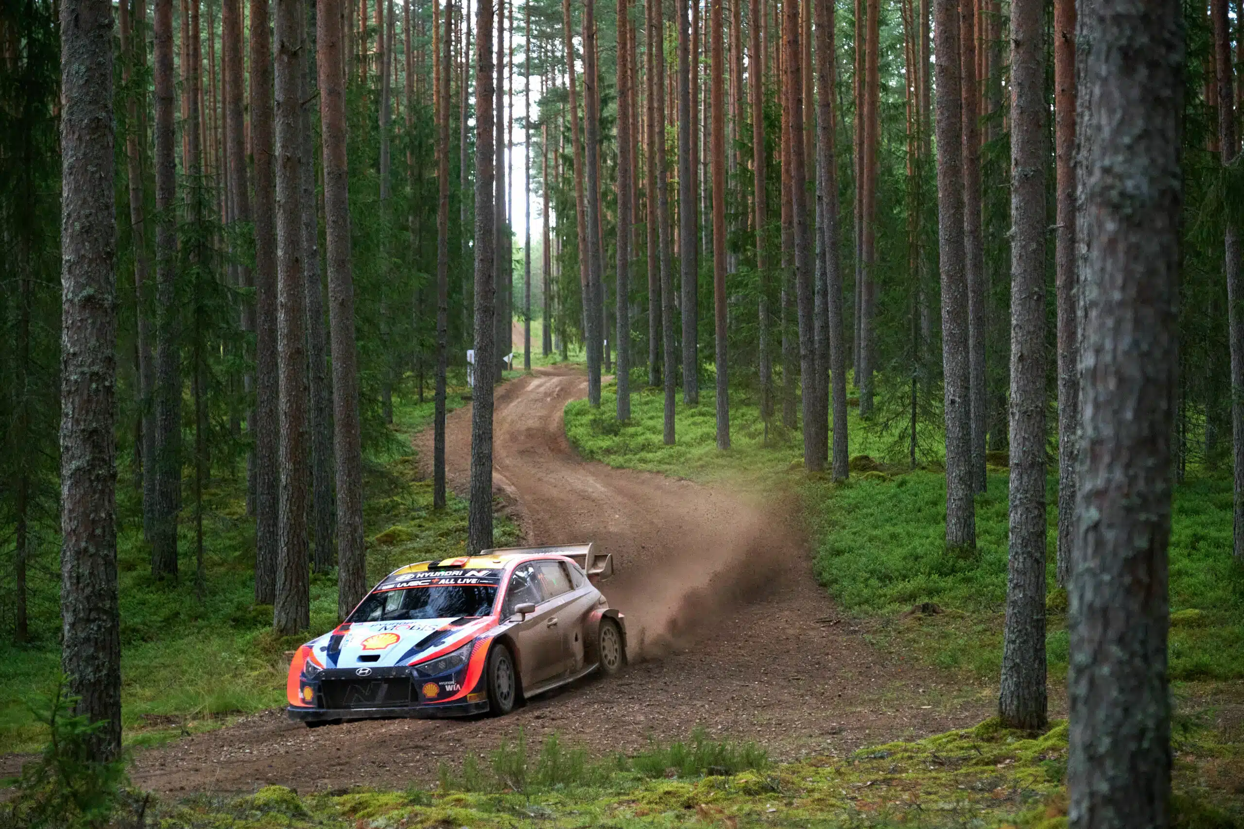 Lire la suite à propos de l’article Thierry Neuville : « C’est difficile de se préparer pour un tel événement, mais nous ferons de notre mieux pour bien performer. « 