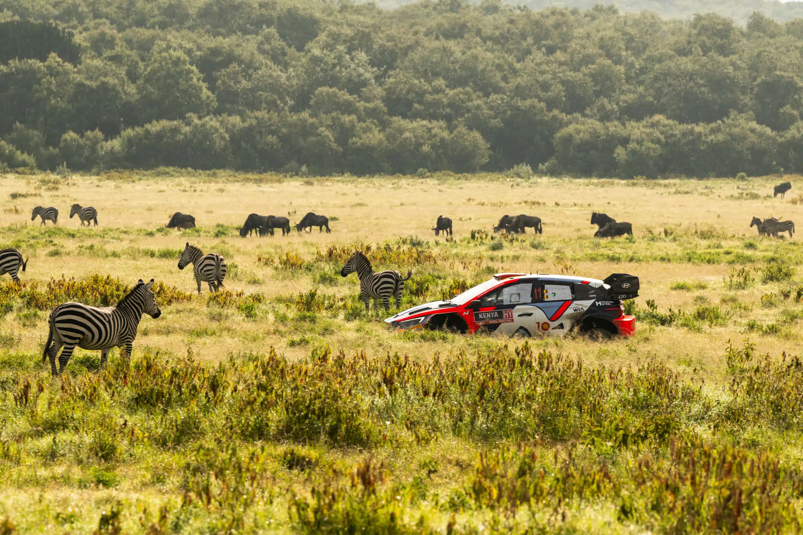 Lire la suite à propos de l’article Thierry Neuville : « Un bon week-end, mais nous aurions certainement pu faire mieux. »