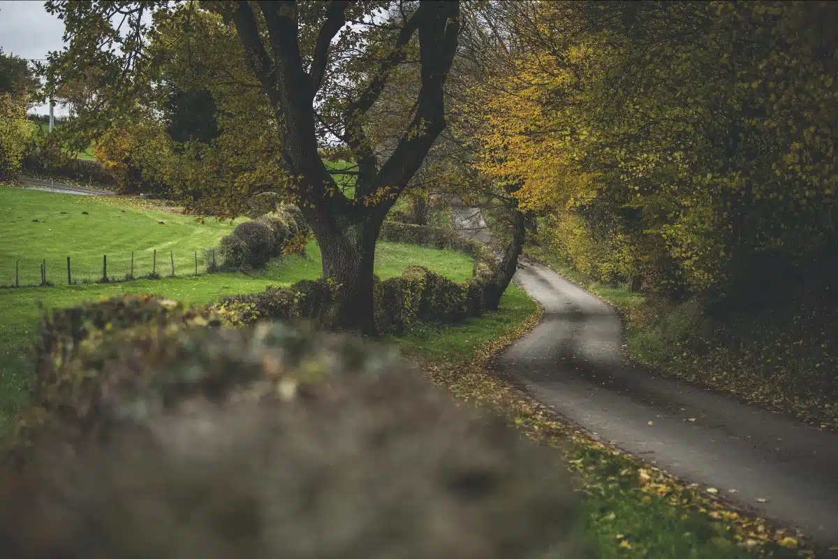 Lire la suite à propos de l’article Spa Rally 2024 : 16 spéciales pour le dénouement final !