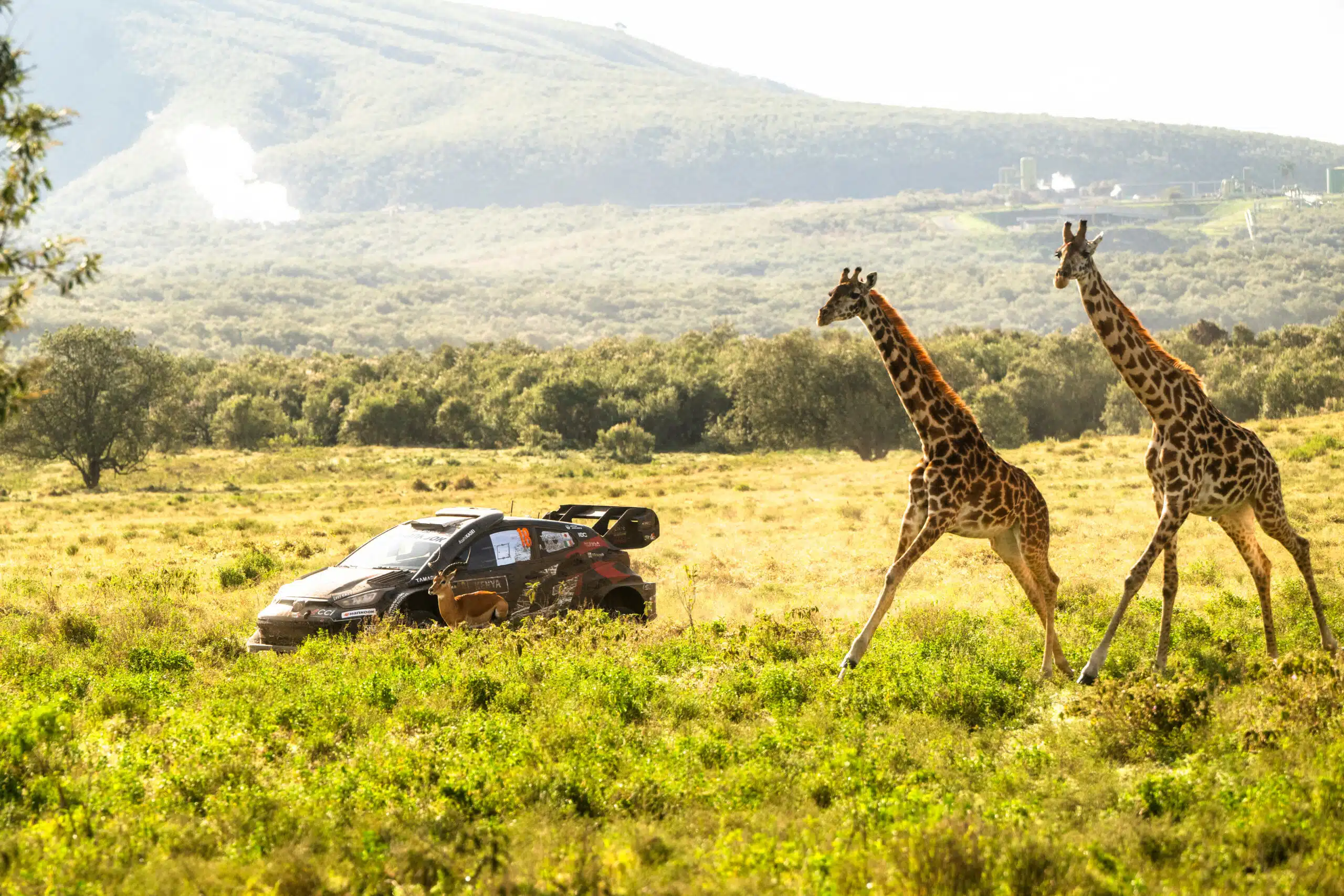 You are currently viewing Safari Rally du Kenya 2025 – Classements