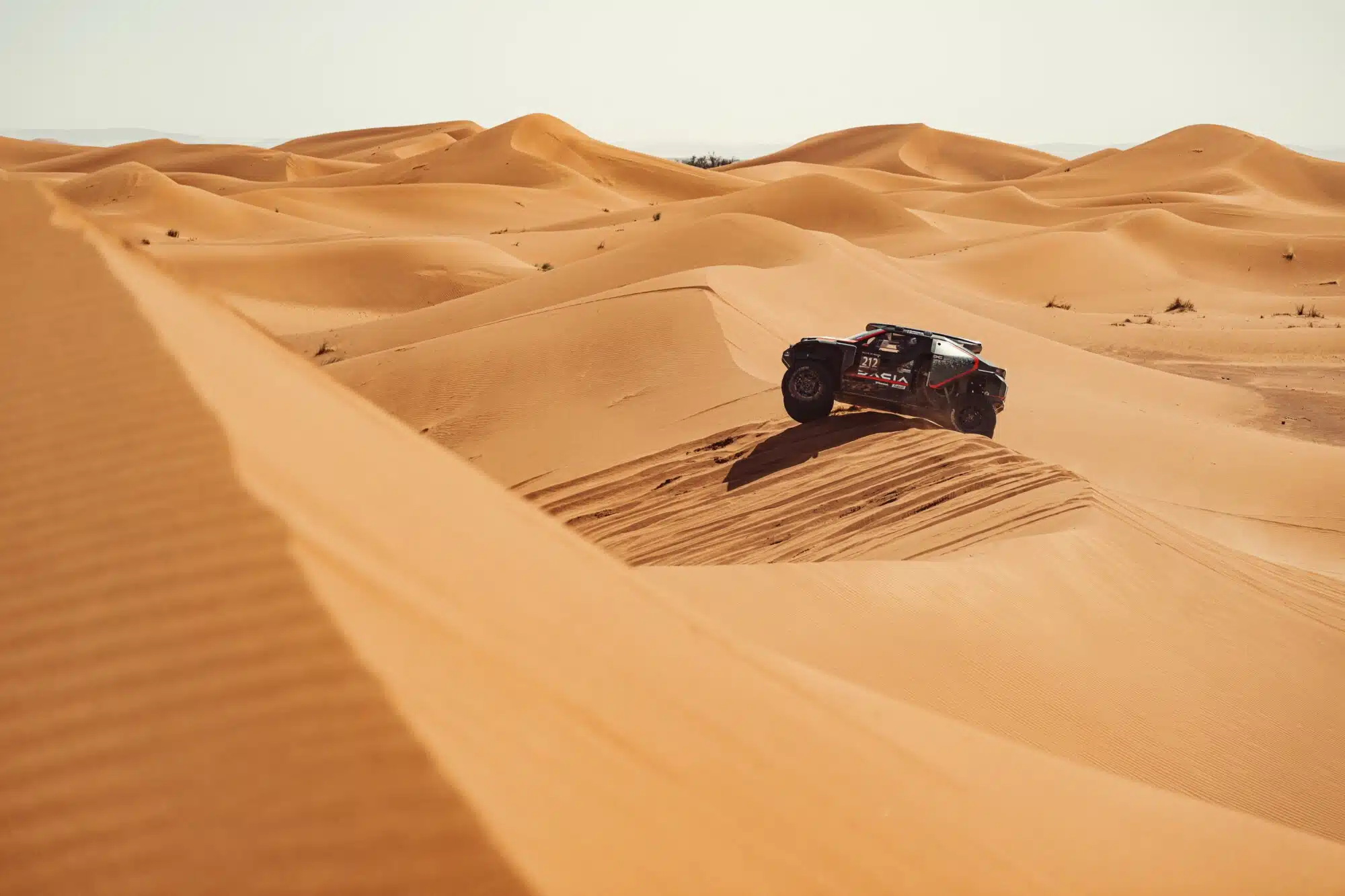 Lire la suite à propos de l’article Retour aux sources pour les Dacia Sandriders