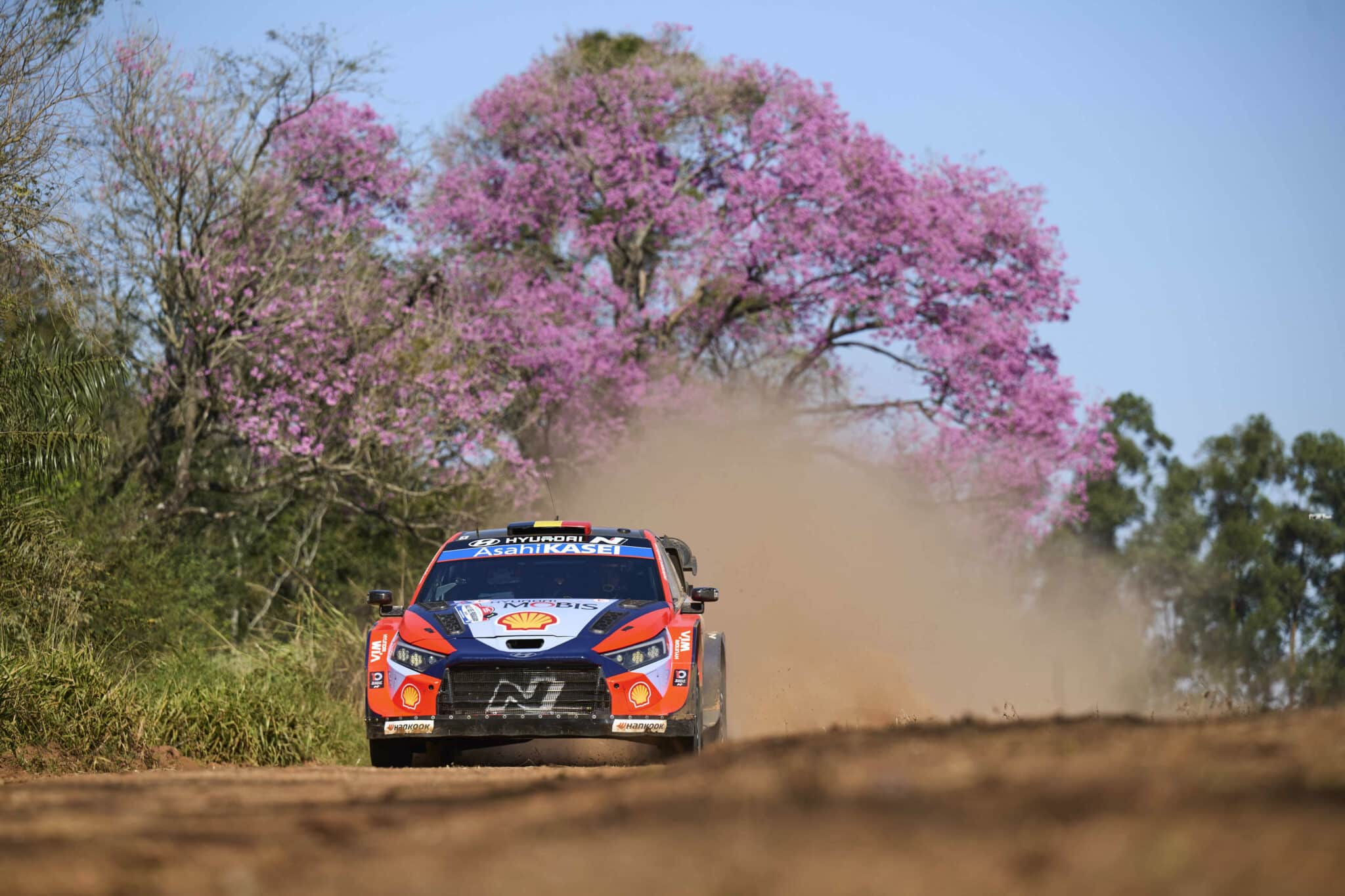 Lire la suite à propos de l’article Paraguay 2026 : Neuville ne vise que la victoire